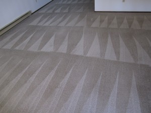 Carpets 045